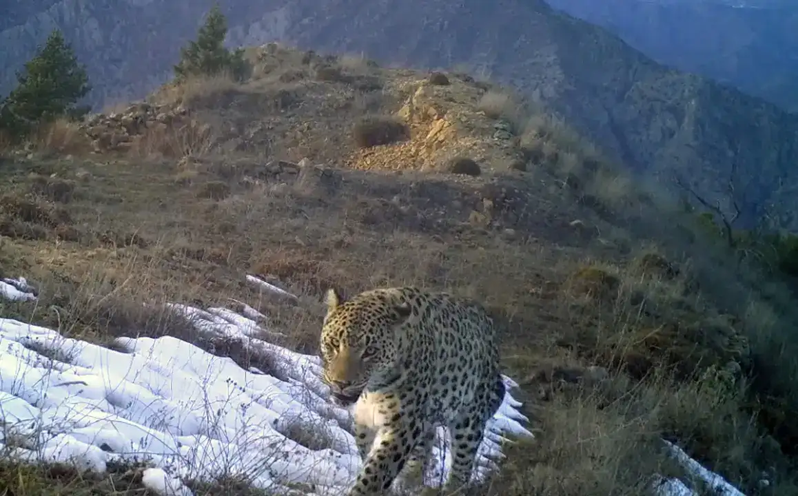 Anadolu Parsına Zarar Vermek Artık 45 Milyon TL 6